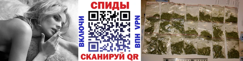 omg как зайти  Чаплыгин  Бутират оксана 