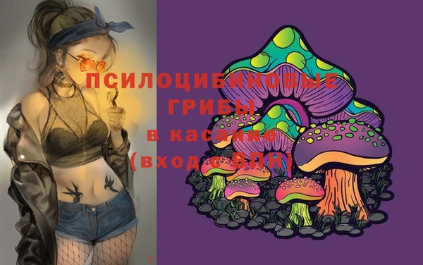 2c-b Алзамай