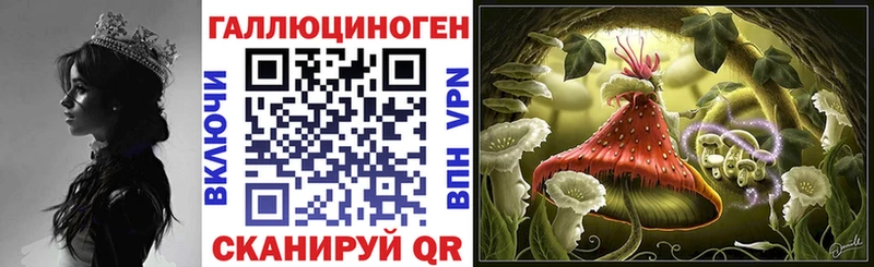 Псилоцибиновые грибы GOLDEN TEACHER  магазин продажи наркотиков  Чаплыгин 